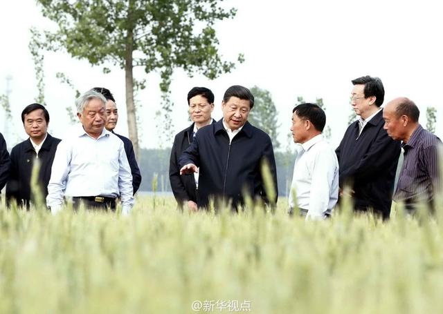 习近平:基层形式主义根源在上行下效