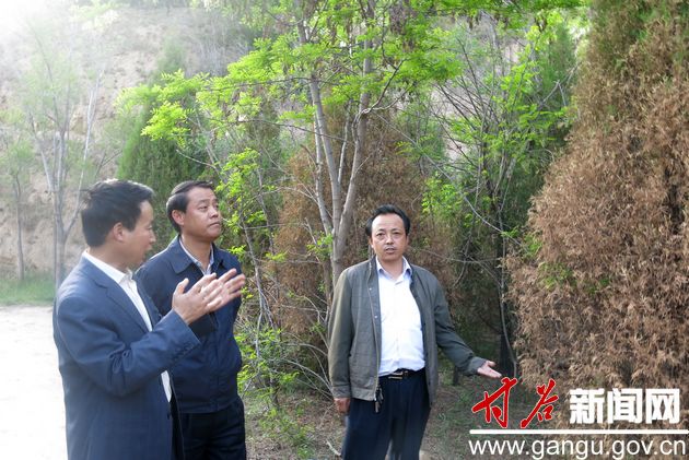 甘谷县委副书记李尚平查看侧柏叶枯病防治工作(图)
