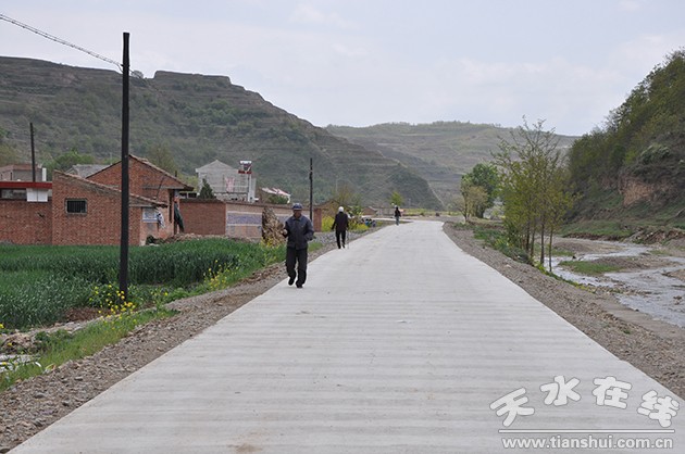 天(天水镇)大(大门乡)公路
