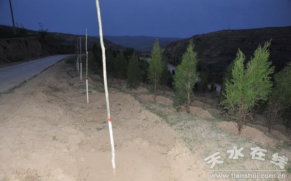 5月4日县委书记刘天波检查道路绿化工程 (23).jpg