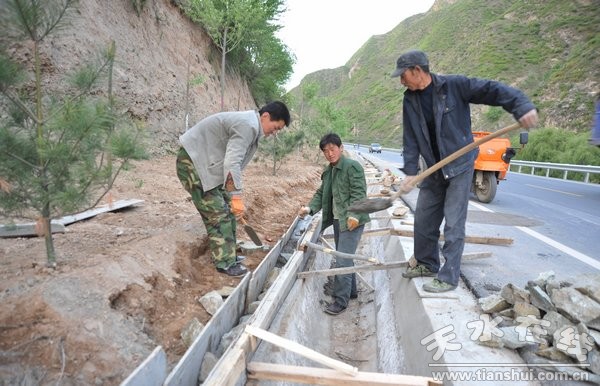 5月4日县委书记刘天波检查道路绿化工程 (14).jpg