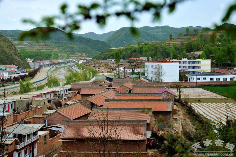 清水县多措并举推进城镇化建设