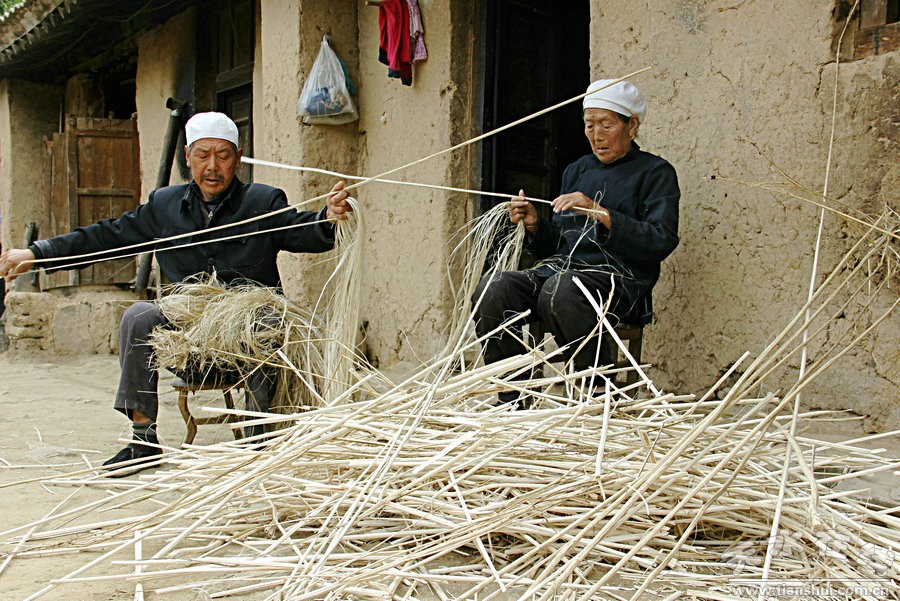 【走基层】汉麻种植助圆山区农户"小康梦"(图)