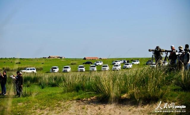 内蒙古大批越野车遮号牌扎堆下乡“拍马”