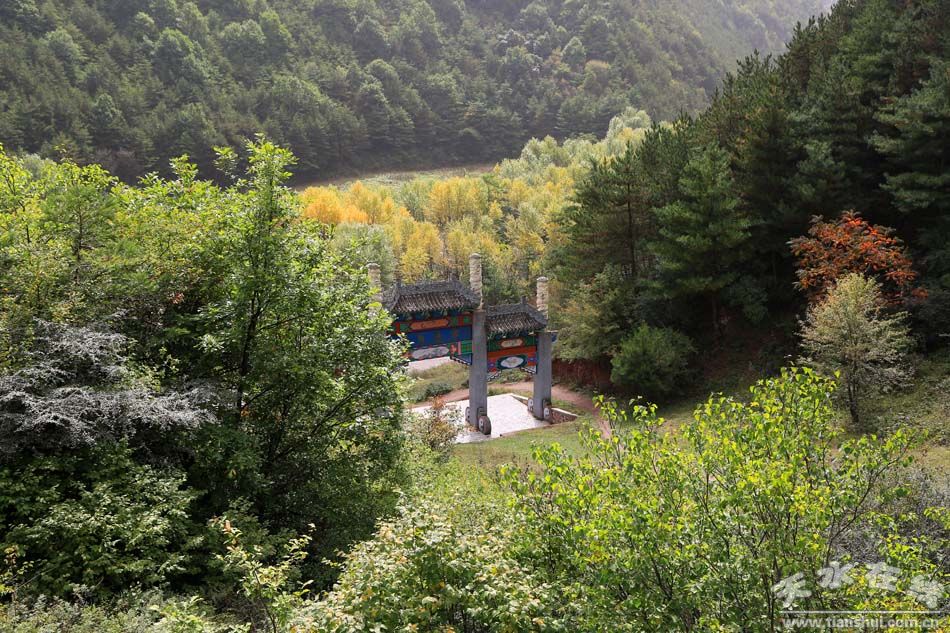 天水在线走进武山县老君山森林公园摄影采风(图)