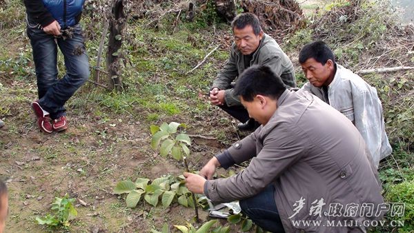 麦积区科普之冬培训活动拉开帷幕(组图)