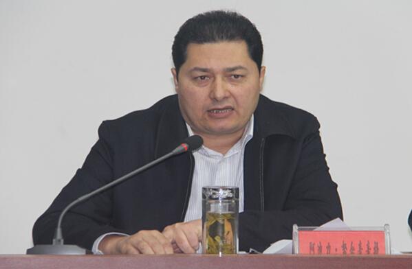 新疆和田市长阿迪力-努尔买买提接受组织调查(图)