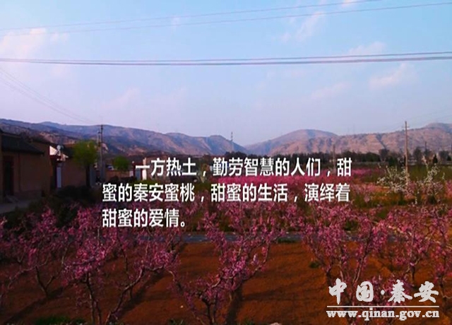 秦安县县城人口_秦安县吴家巷女照片