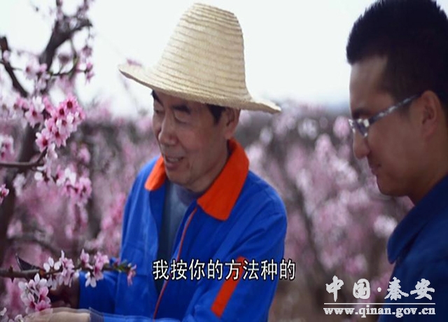 秦安县失踪人口_秦安县吴家巷女照片(2)