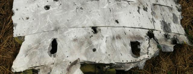 MH17Ե��׹�٣��ɻ��к��ṩ����
