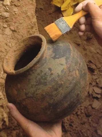 ���ﲿ���ֳ���������