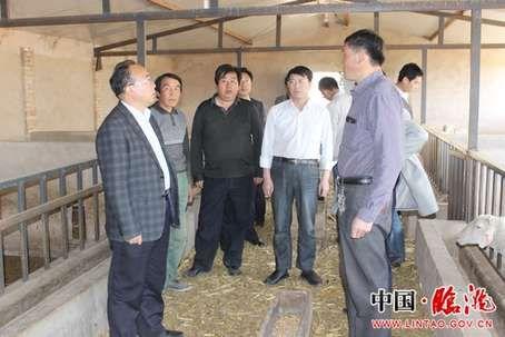 柴生芳下乡检查工作