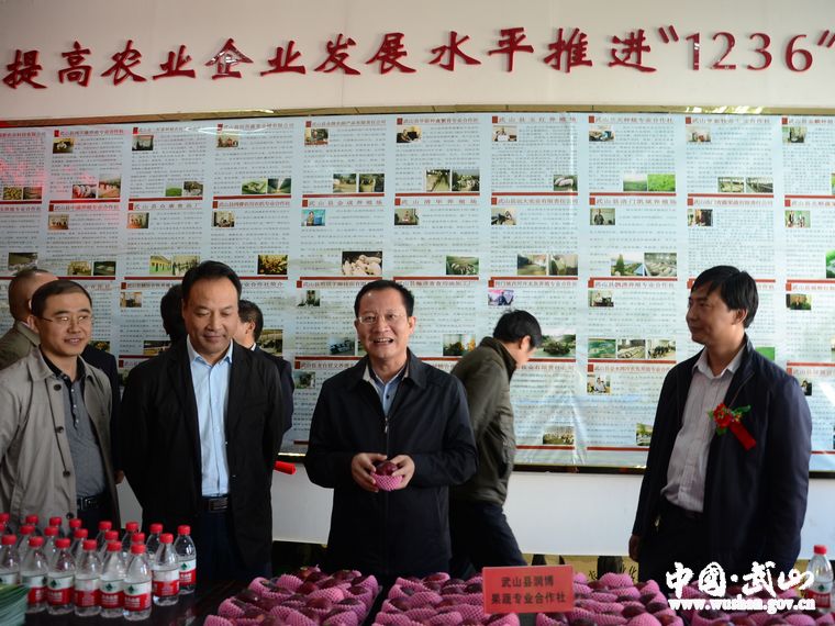 点击查看大图