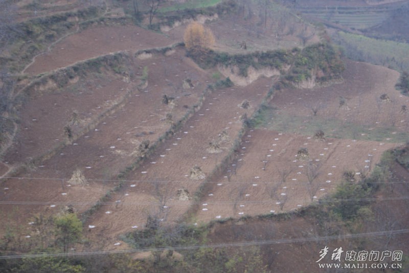 三岔乡人口_临潼东三岔足浴小姐