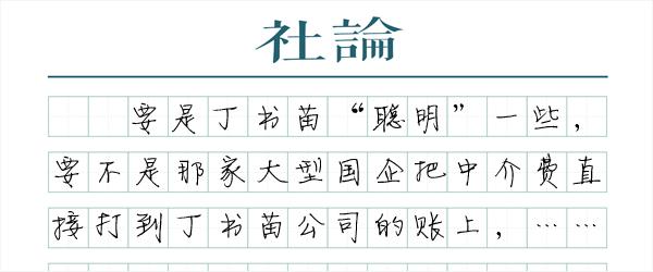 媒体起底丁书苗:识字甚少 只不过是张移动银行卡