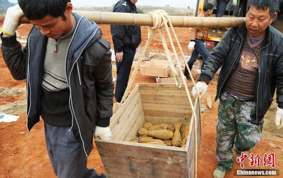 12��8�գ����Ϻ����й������ΰ�֧���ں�����ĳ�վ���ըѵ���г��������˷Ͼ�ը�����������ж���