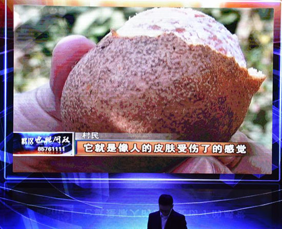2015年1月10日晚,湖北省武汉市,电视问政第五场关注医院、商场、学校周边秩序管理,开发区和新城区基本生态控制线保护实施问题,相关负责人将走上问政台。