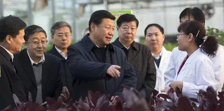 反腐败,习近平今年准备这么干