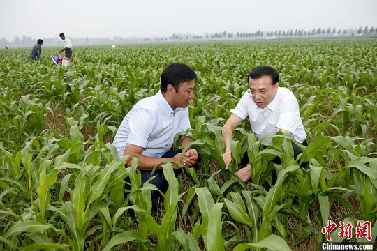 图为李克强2014年7月24日到山东德州陵县,“全流程”考察德强现代家庭农场。中新社记者 刘震 摄