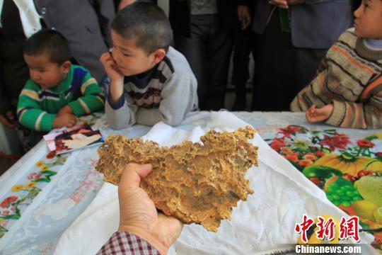 新疆一牧民捡到7850克天然金块形似中国地图(图)