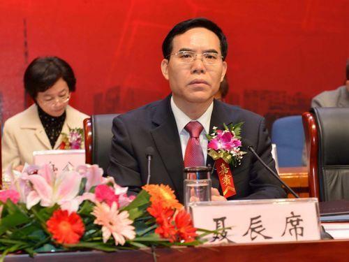 国家新闻出版广电总局副局长聂辰席兼任央视台长