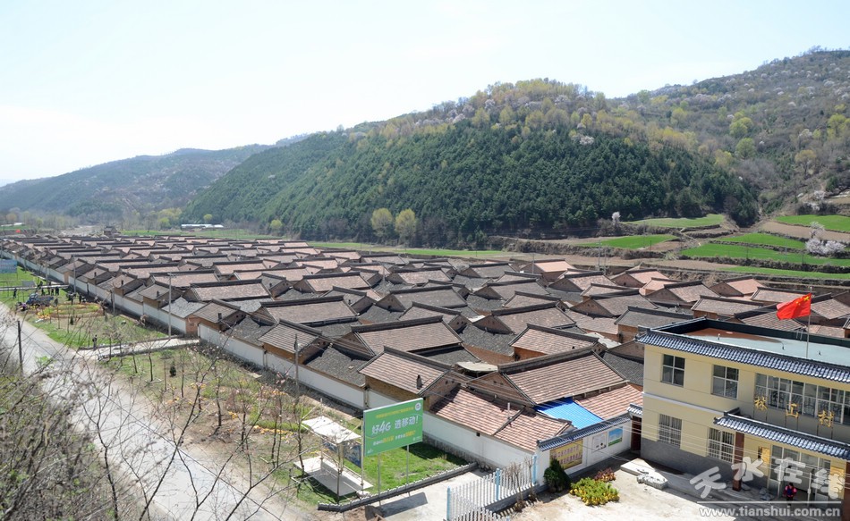 镇人口综合治理_邹坞镇综合治理出生人口性别比宣传形式多样