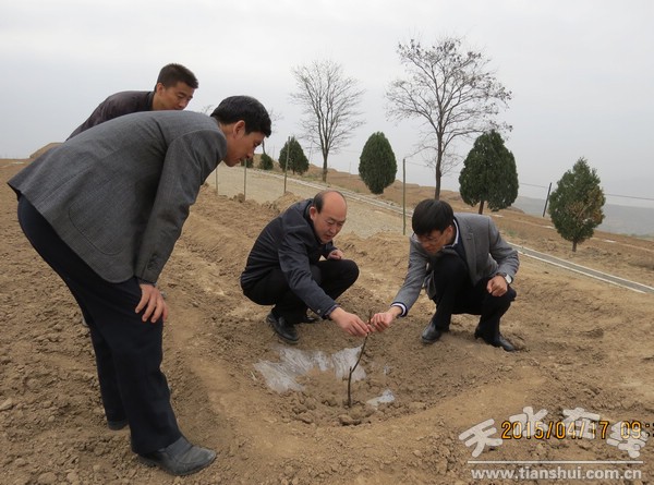 城科梁至槐树梁千亩核桃示范点.jpg