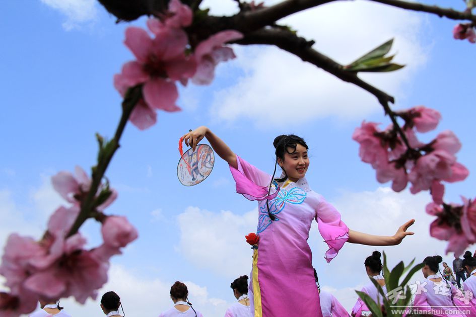 天水在线走进秦安何湾桃花景观摄影采风(图