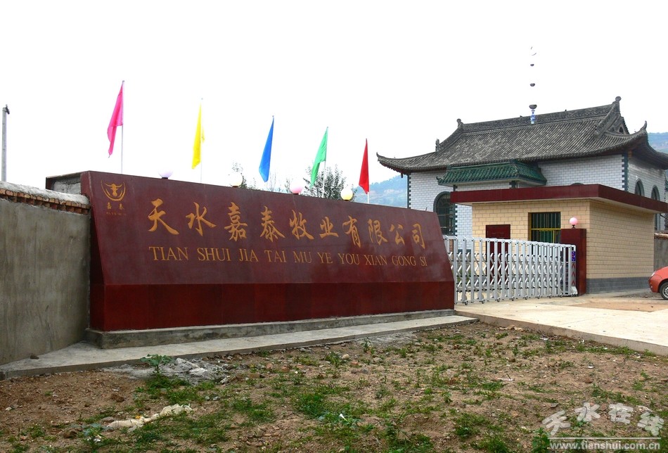 嘉泰牧业3.jpg