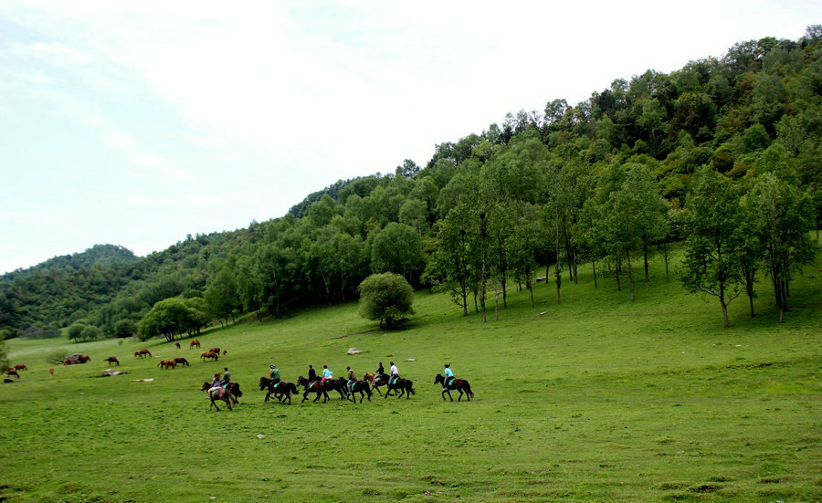 张家川迎来国庆旅游小高峰(组图)