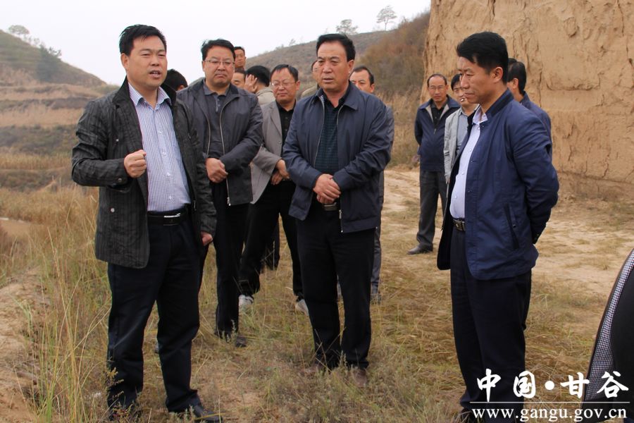 甘谷县领导带队观摩安远镇秋覆膜工作组图