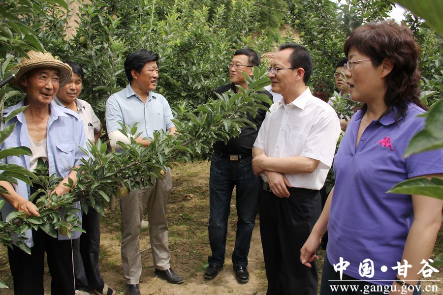 7月21日,省政府金融办主任汤澜带领调研组深入甘谷县调研双联和扶贫