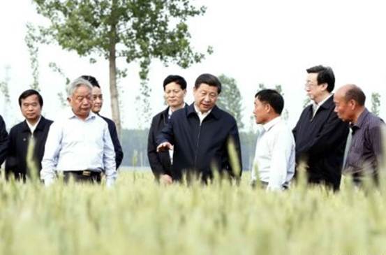 2014��5��9�գ�ϰ��ƽ��������ʡξ�����������߽�һƬ�߱�׼���������ཬ����ũ�ｨ�衣������һɫ��С����ϲ�ˣ���˵�������Ƕ�����ׯ�ڳ�����С������ô�ã��Һ�����һ����ο��������Ļ�˵����������ܳ����ˡ���