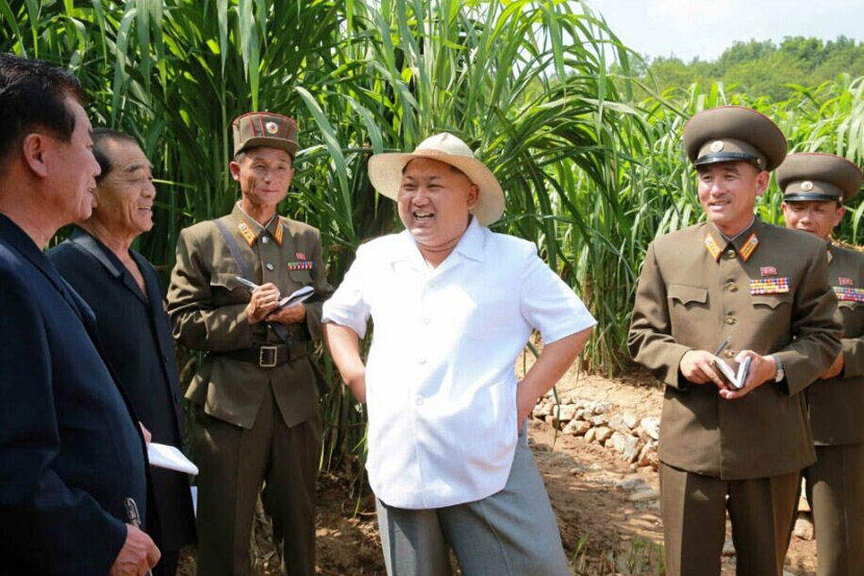 金正恩视察种子研究农场(网页截图)