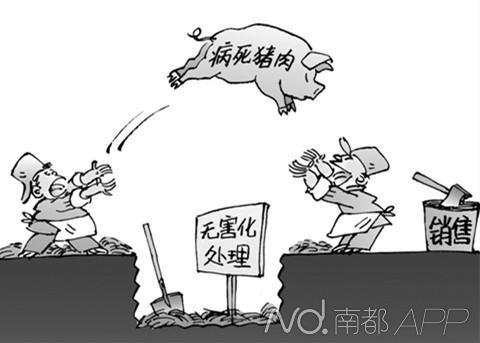 ���������û������ˮ�Ƴ�2900���͹��˿�ʳ��