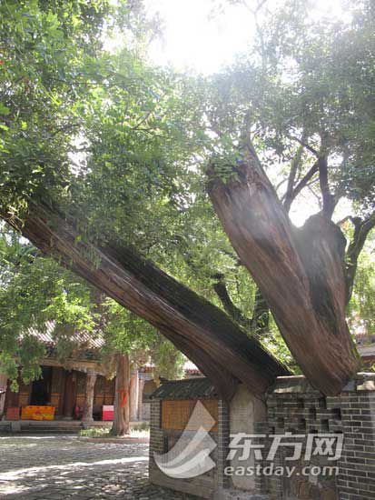 走进天水南郭寺景区:凭吊怀古感受文化底蕴
