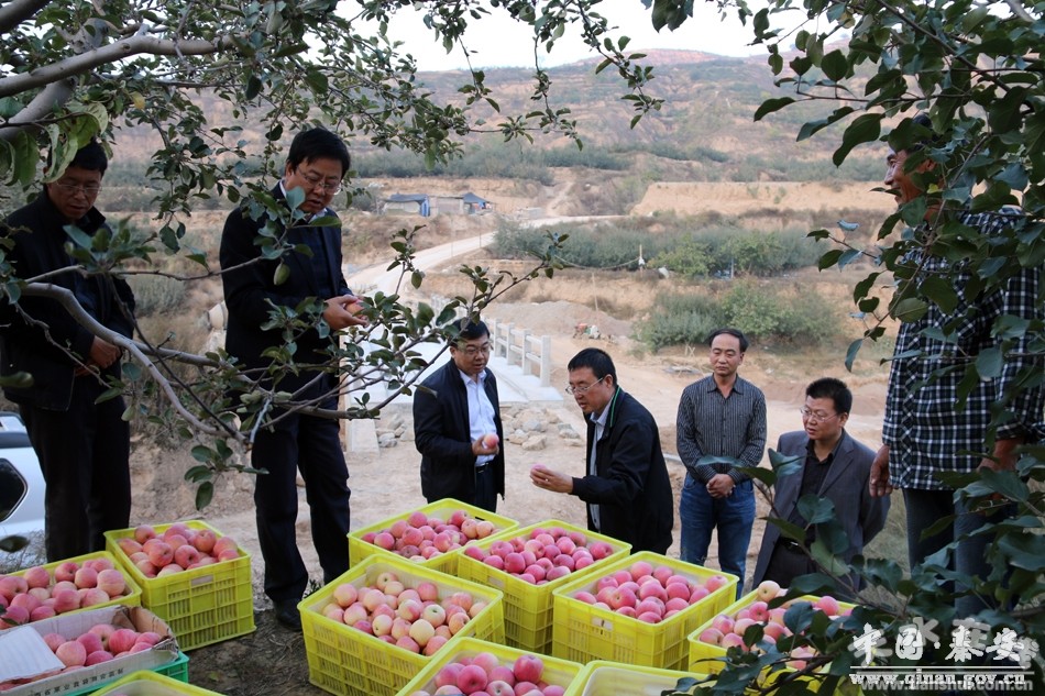 秦安县有多少人口_秦安县地图(2)