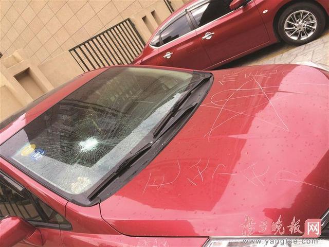 男子庆贺“光棍节”深夜狂砸17辆日系车