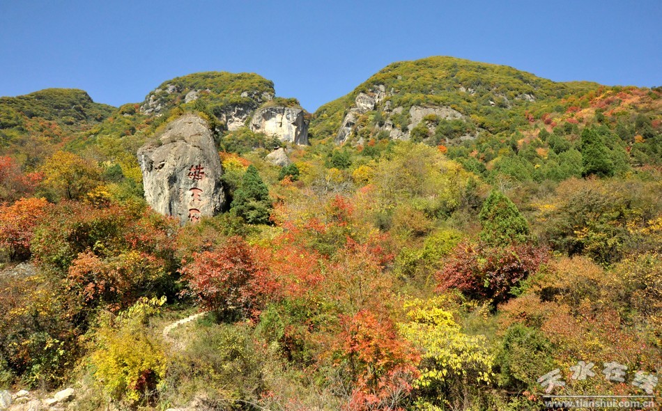 "天水新八景"市民评审团县区行活动走进清水县(图)