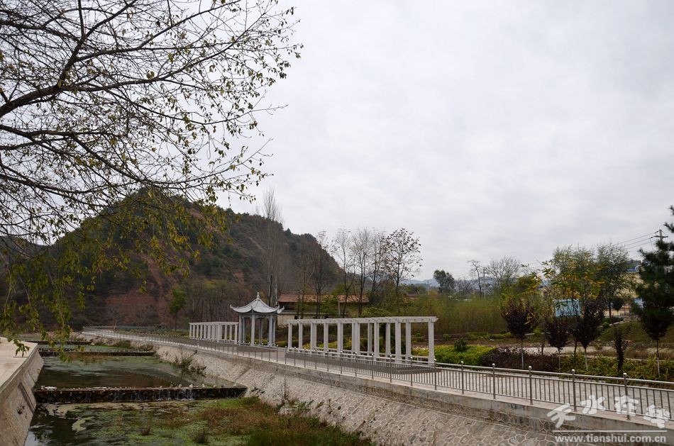 (麦积区麦积镇红崖村)