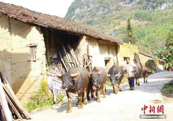 ����Ժ��ƶ�죺�ط�������ƶ������ƶ��Чռ��60%