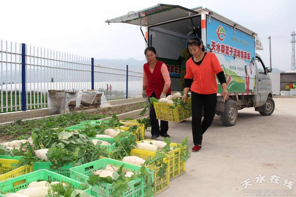 清水县200个农民专业合作组织总收入达1.8亿