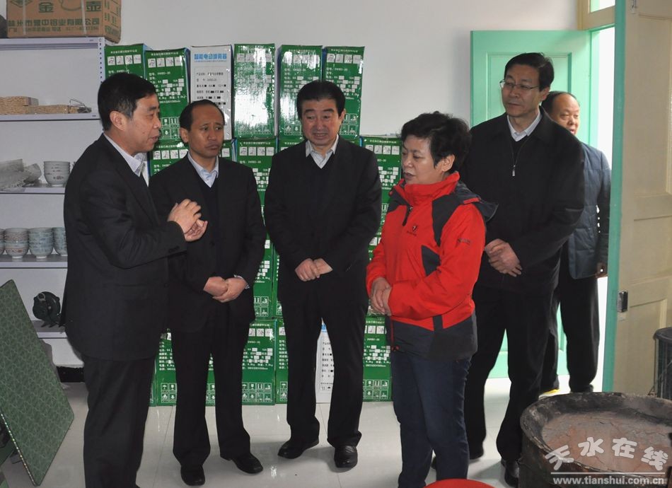 (在甘谷县磐安镇三十铺村供销服务社调研)