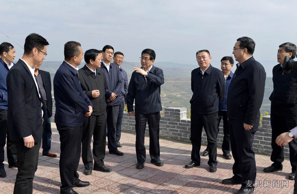 甘肃省委副书记代省长林铎赴麦积区调研图