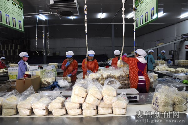 众兴菌业公司 众兴菌业公司