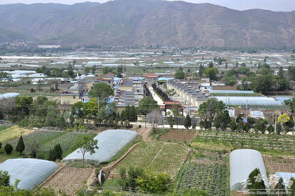 武山县山丹镇周庄村天水市"十大