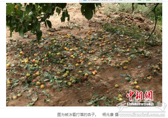QQ截图20160614184447.png