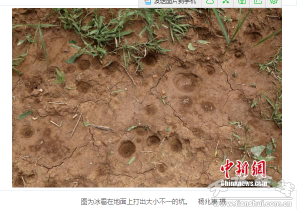 QQ截图20160614184459.png