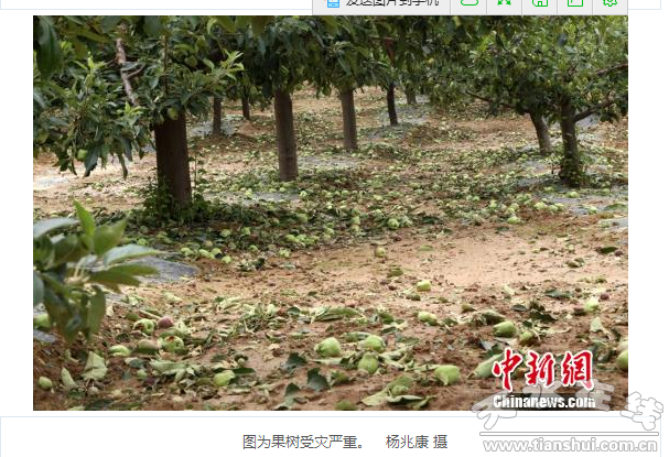 QQ截图20160614184427.png