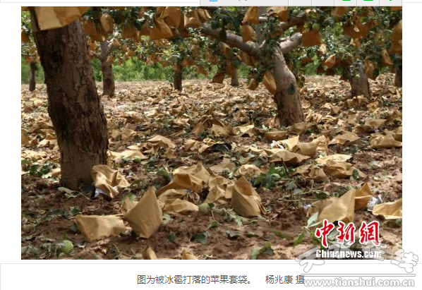 QQ截图20160614184437.png